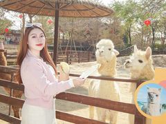 -盈香心动乐园