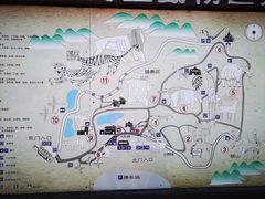 -青岛森林野生动物世界