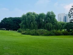 -裕华世纪公园