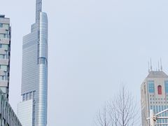 -紫峰大厦
