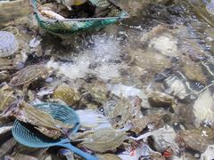 -聚盛源蒸汽海鲜火锅烤肉自助(巨川金海岸购物广场店)