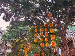 -越秀西湖花市(广州城市广场花卉店)