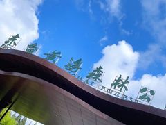-黄海国家森林公园