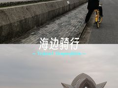 -南汇嘴观海公园