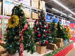 -麦德龙(郑东店)