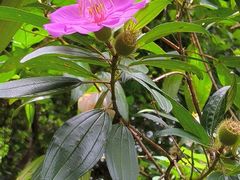 -广州市干部健康管理中心