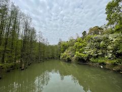 -青龙山国家森林公园