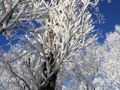 -中旅松花湖滑雪场
