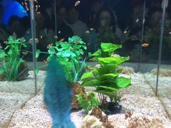 -烟台海昌鲸鲨海洋公园