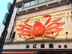 -蟹道乐(道顿堀本店)