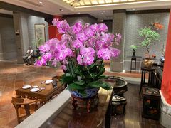 -龙悦湾酒家·八阵鱼生·渔人码头店