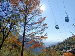 -东天目山风景区