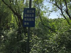 -新江湾城公园