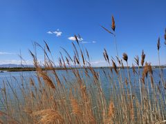 -野鸭湖国家湿地公园