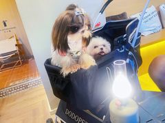 -梨花自助烤肉(西三旗万象汇黑金店)