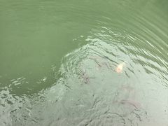 -山西通天峡景区