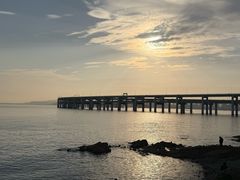 -星海湾跨海大桥