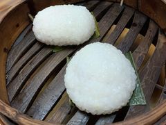 茨毛圆子-双塔老饭店