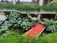 -广州白天鹅宾馆