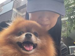 -中粮·祥云小镇