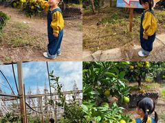 -前小桔亲子创意农场·草莓采摘·露营烧烤