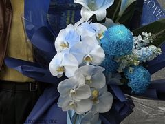 -拾花记花艺·求婚·订婚·生日布置(高新店)