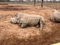 -鄂尔多斯野生动物园