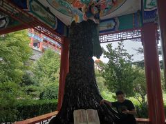 -大明幻境第一城