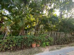 -亚龙湾海底世界