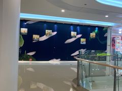 -深圳龙华星河COCO City(民治店)