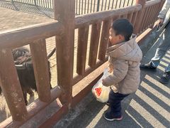 -无锡动物园·太湖欢乐园