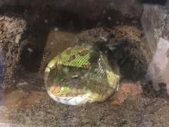 -山东嘉汇文化用品有限公司张店凤凰国际分公司(新村西路店)