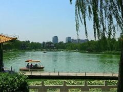 -莲花池公园