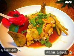 -呼吸森林·生态农庄农家乐私房菜