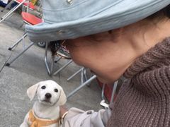 -宗角禄康公园