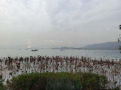 -湖畔居茶楼(湖滨店)