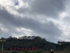 -东南花都花博园