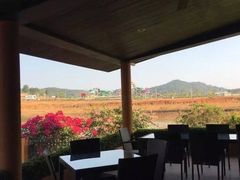 -七珍佛山