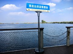 -白洋淀景区