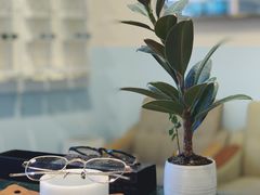 -上野眼镜(成都太古里店)