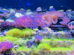 -南昌海洋公园