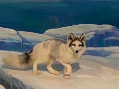 -陕西自然博物馆