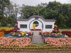 -上海共青森林公园