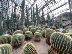 -南山植物园
