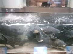 -上名堂·鱼头好吃(体育场路店)