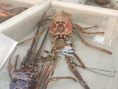 -黄沙水产交易市场