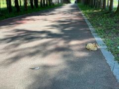-柳鹭田园区