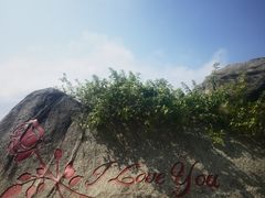 -海南分界洲岛旅游区