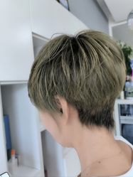 -爱维丽