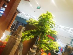 -和府捞面(北美新天地店)